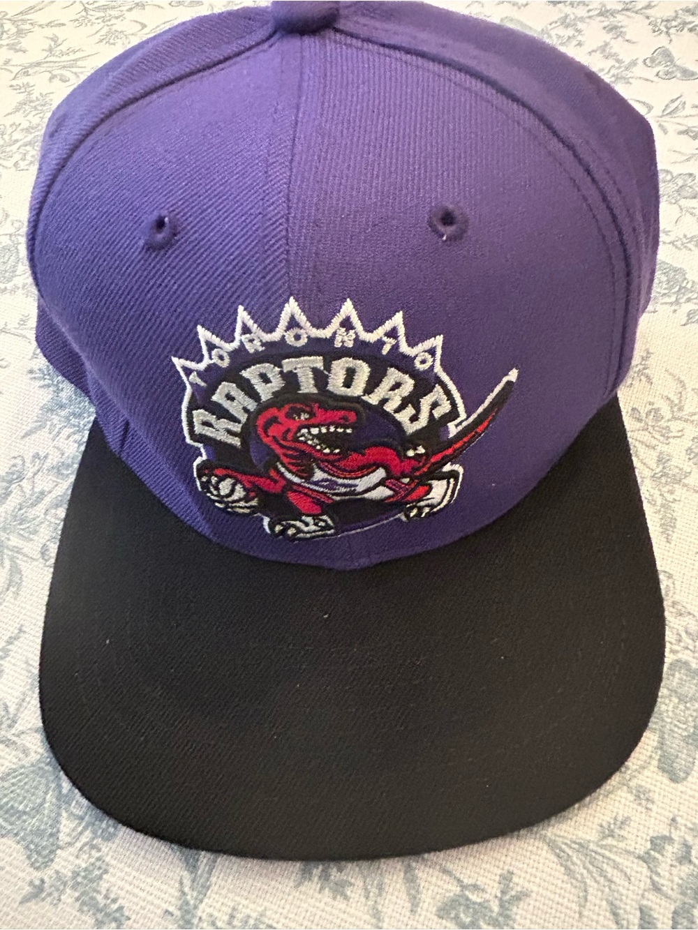 Toronto Raptors  Purple and Black Snapback Hat